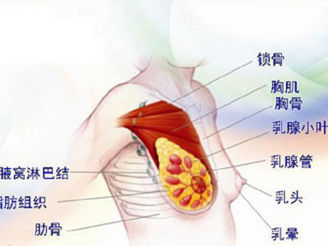 乳腺发炎穴位