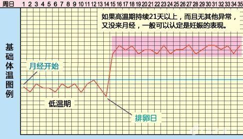 怎样从基础体温来判断卵巢的功能？