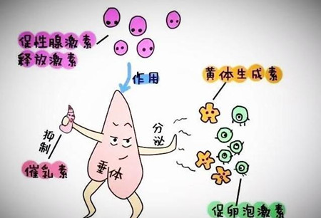 高泌乳素血症有哪些症状?