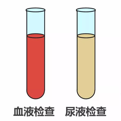 如何采集血液标本？