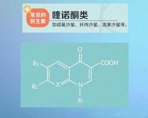 喹诺酮是一种什么药？